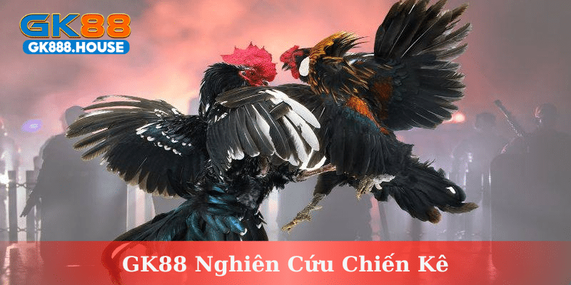 Kinh nghiệm thi đấu được xem là yếu tố xác định đúng chuẩn 