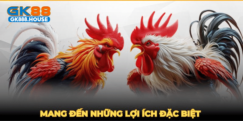 GK88 mang đến những lợi ích đặc biệt cho các hội viên