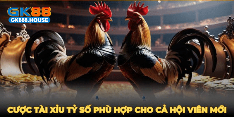 Cược tài xỉu tỷ số phù hợp cho cả hội viên mới